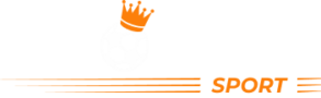Nine Casino - bookmaker logo