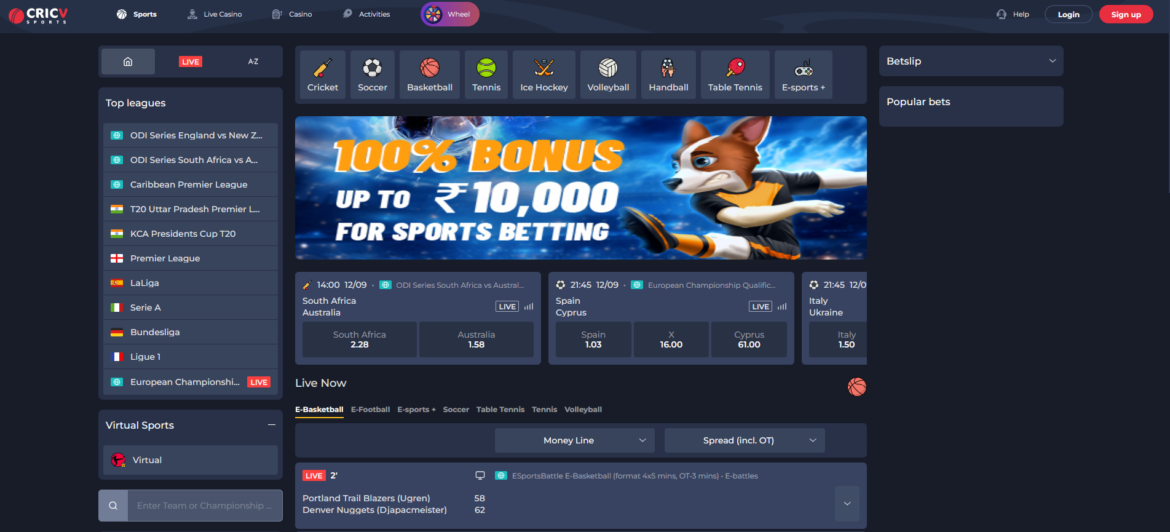 Best Fast Withdrawal Betting Sites in India - Cricv